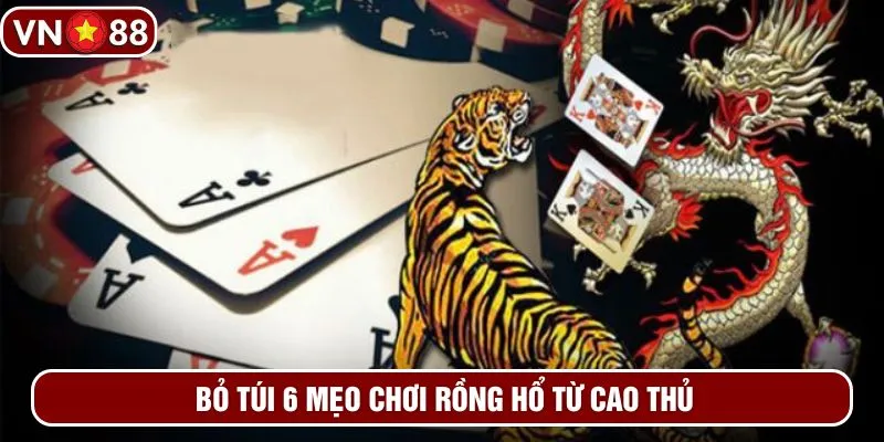 Bỏ túi 6 mẹo chơi rồng hổ từ cao thủ