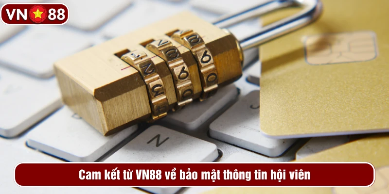 Cam kết từ VN88 về bảo mật thông tin hội viên
