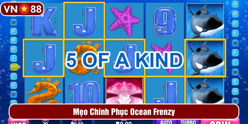 Kinh nghiệm chinh phục game Ocean Frenzy