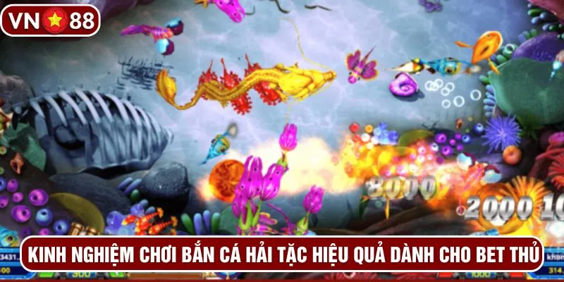 Kinh nghiệm chơi bắn cá hải tặc hiệu quả dành cho bet thủ