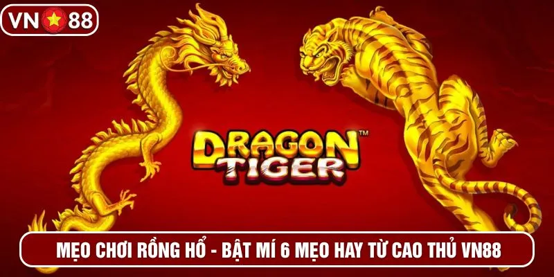 Mẹo chơi rồng hổ