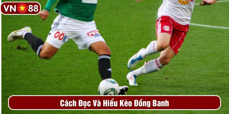 Nên nắm rõ cách đọc kèo khi cá cược