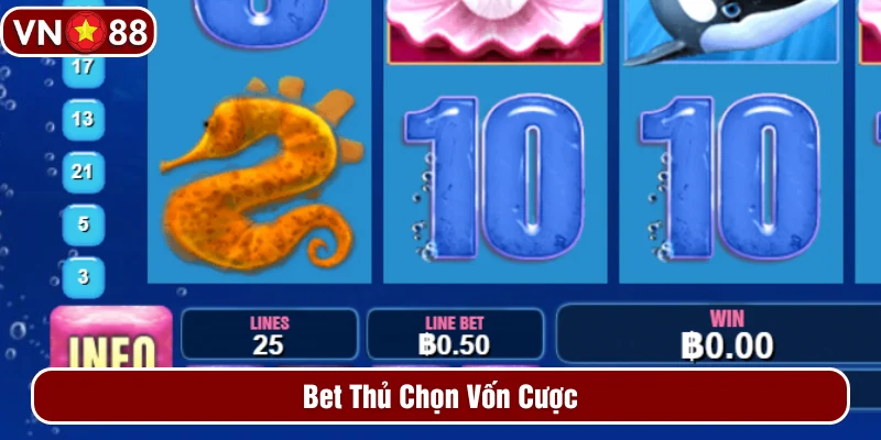 Người chơi chọn vốn khi đặt cược