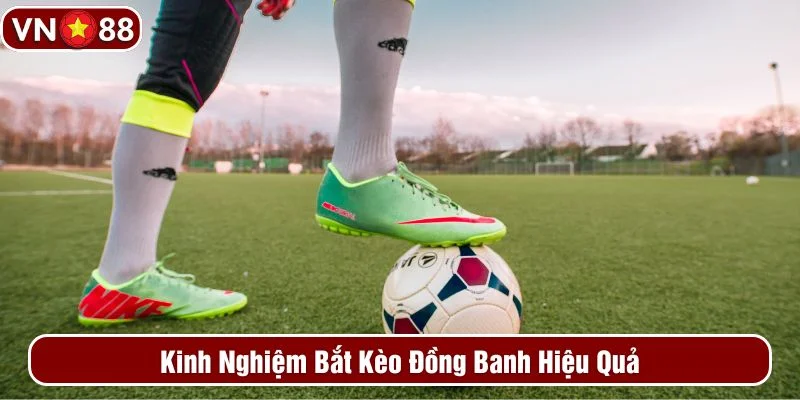 Tham khảo các kinh nghiệm cá cược