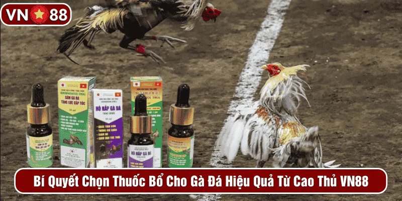 Thuốc bổ cho gà đá